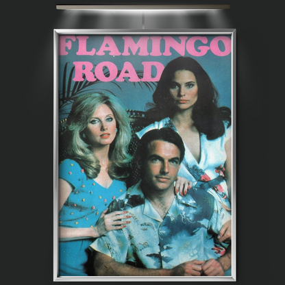 Flamingo Road (1981)