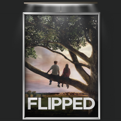 Flipped (2010)