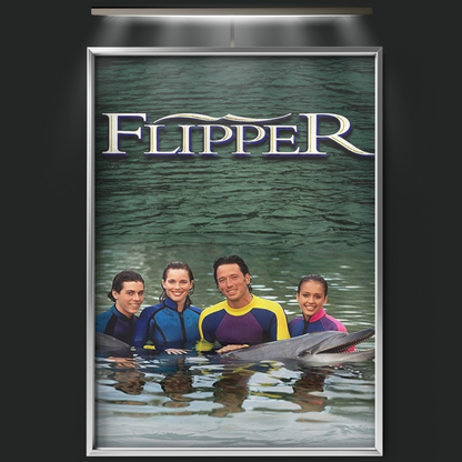 Flipper (1995)