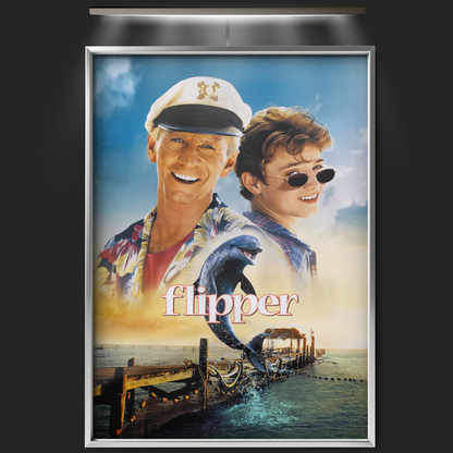 Flipper (1996)
