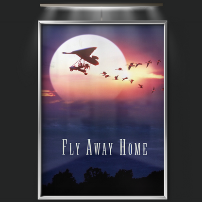 Fly Away Home (1996)