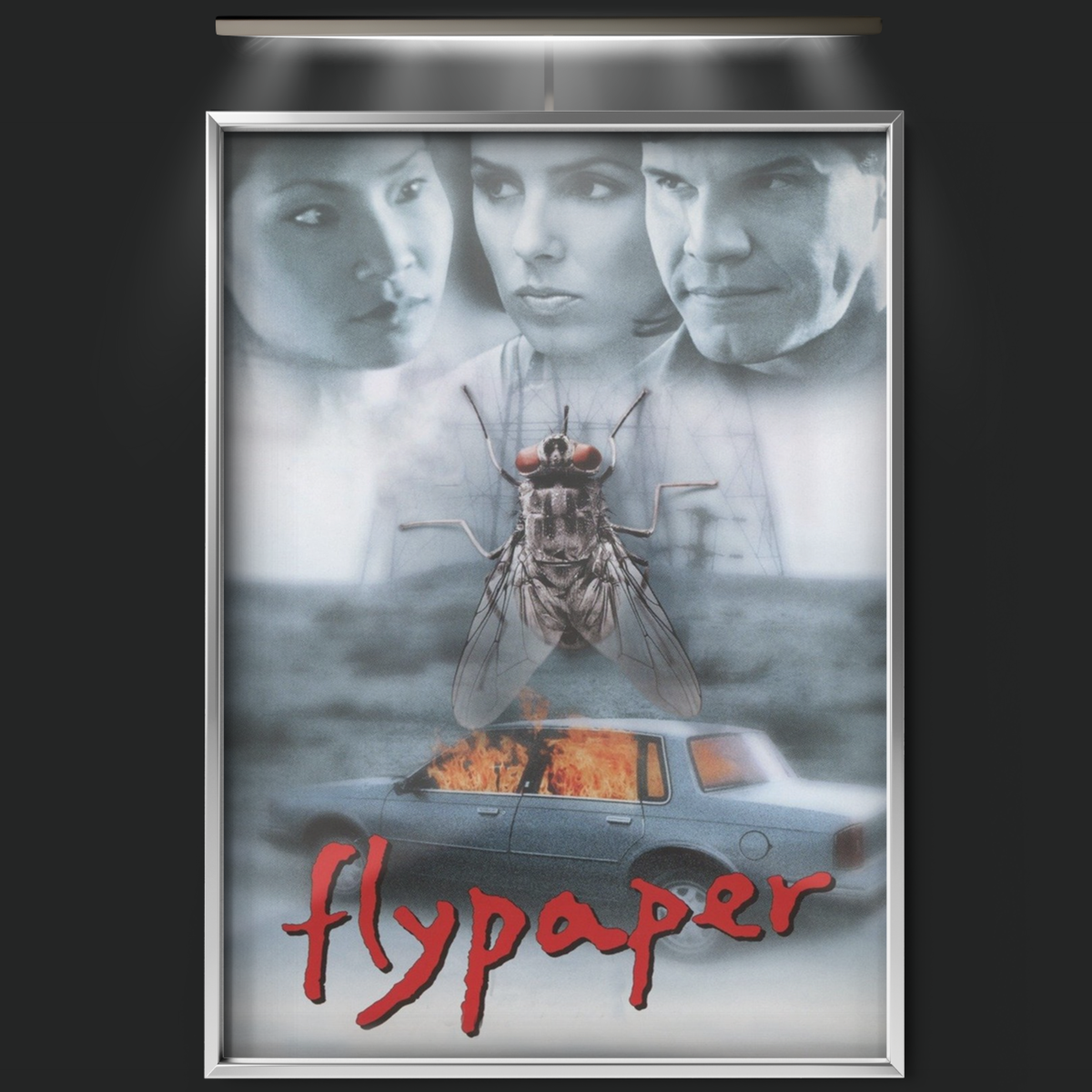 Flypaper (1999)
