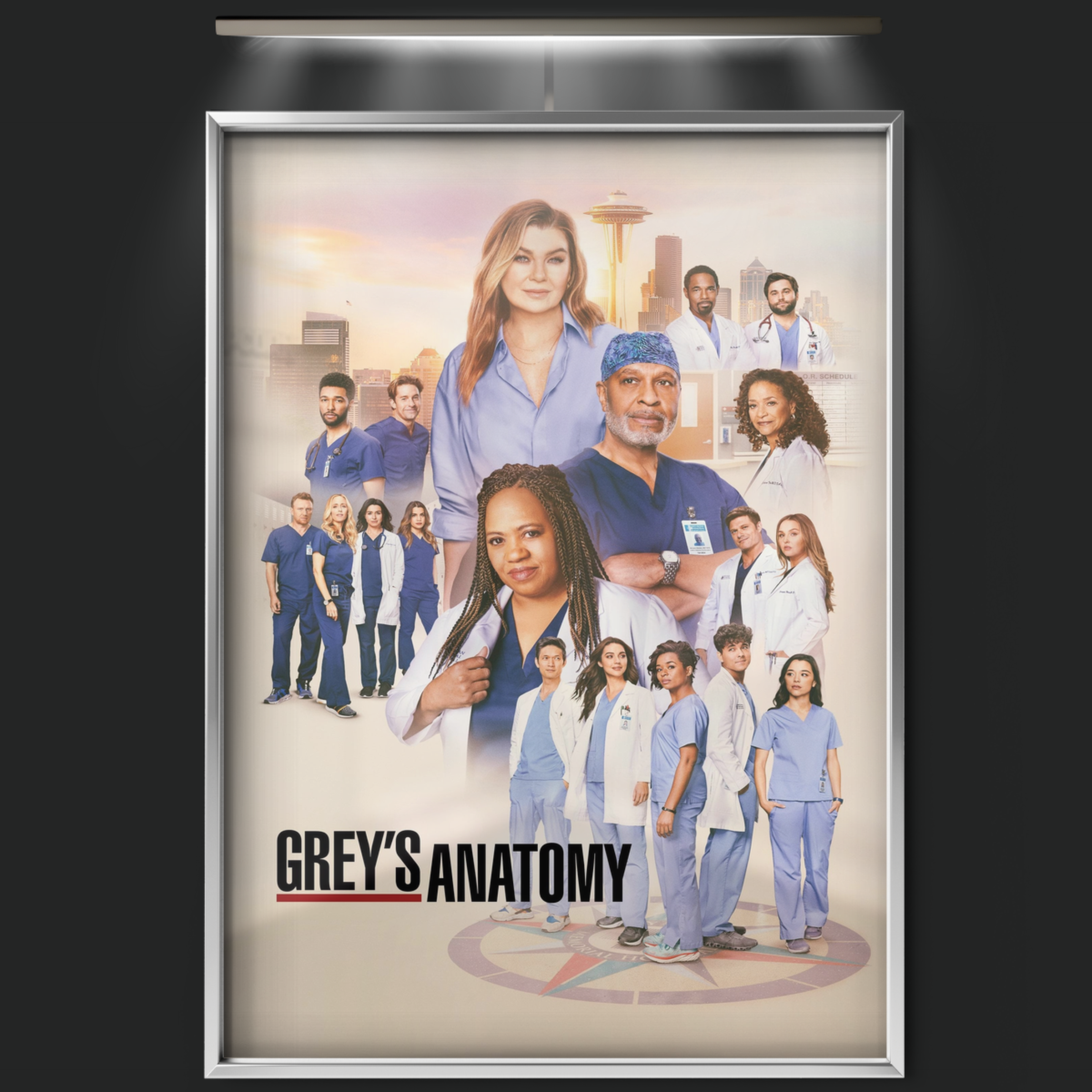 Grey's Anatomy (2005)