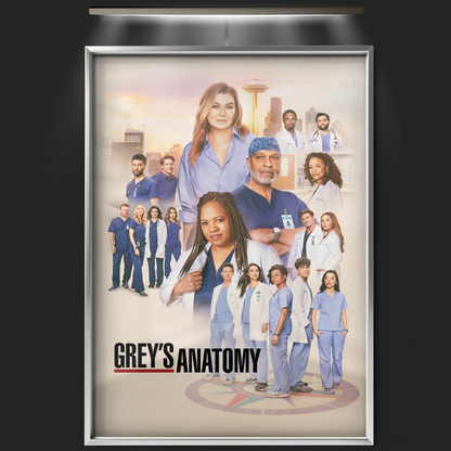 Grey's Anatomy (2005)