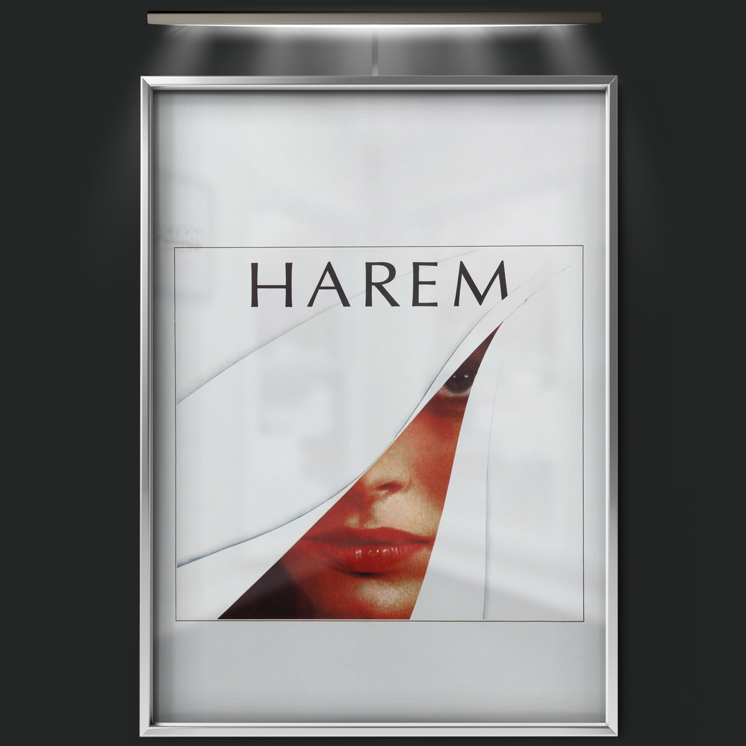 Harem (1985)