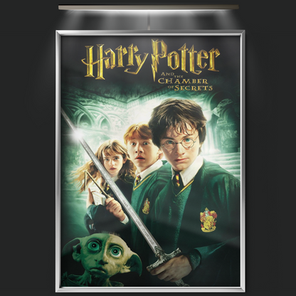 Harry Potter And The Chamber Of Secrets (2002)