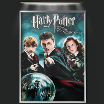 Harry Potter And The Order Of The Phoenix (2007)