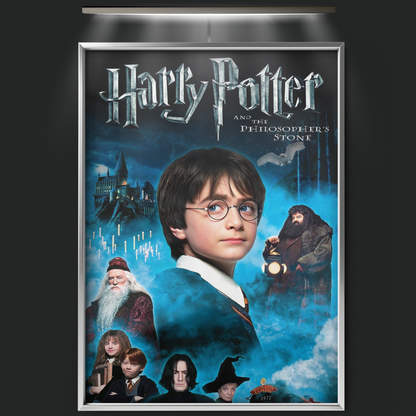 Harry Potter And The Philosopher's Stone (2001)