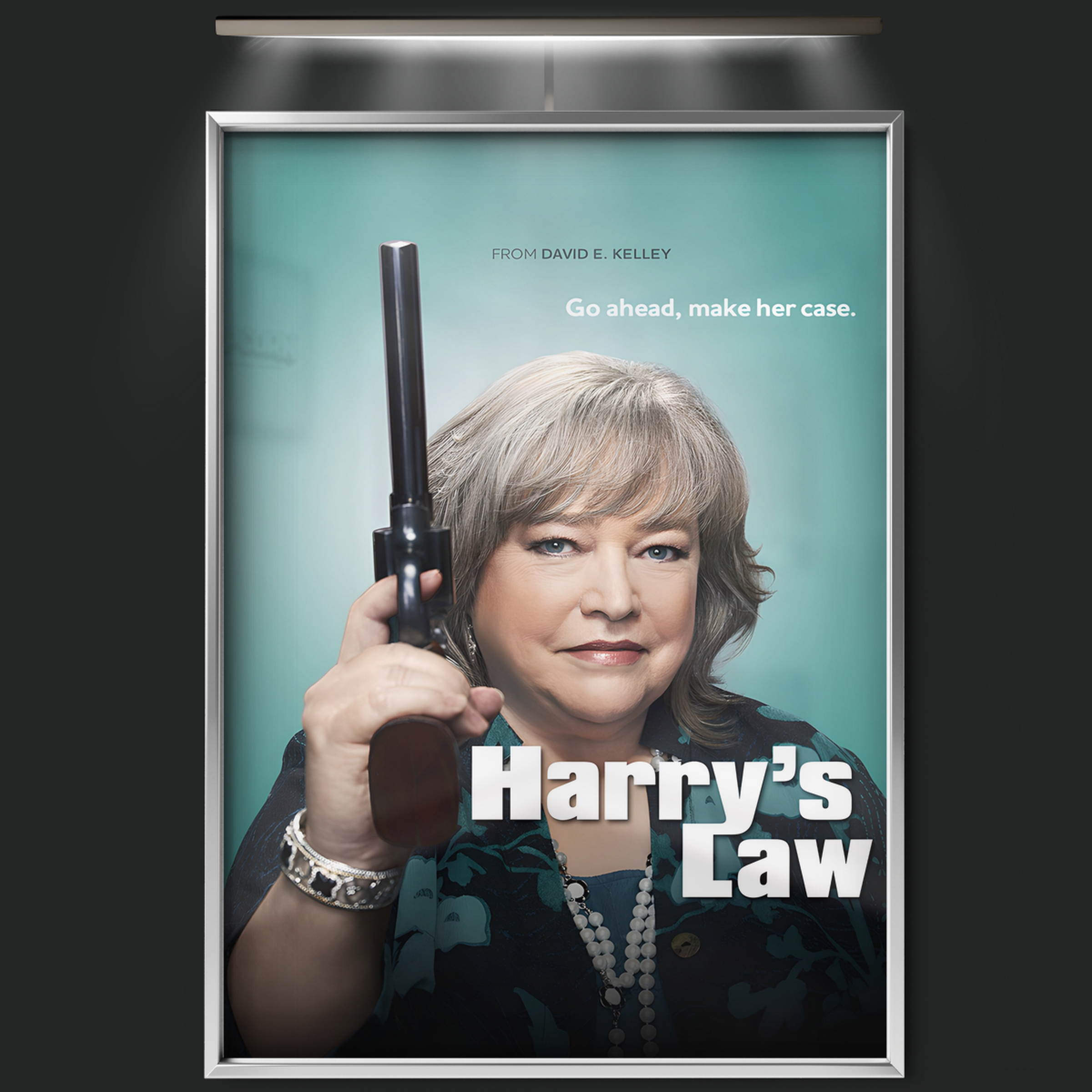 Harry's Law (2011)