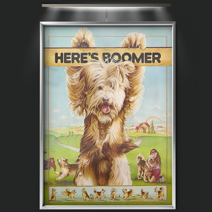 Here's Boomer (1981)