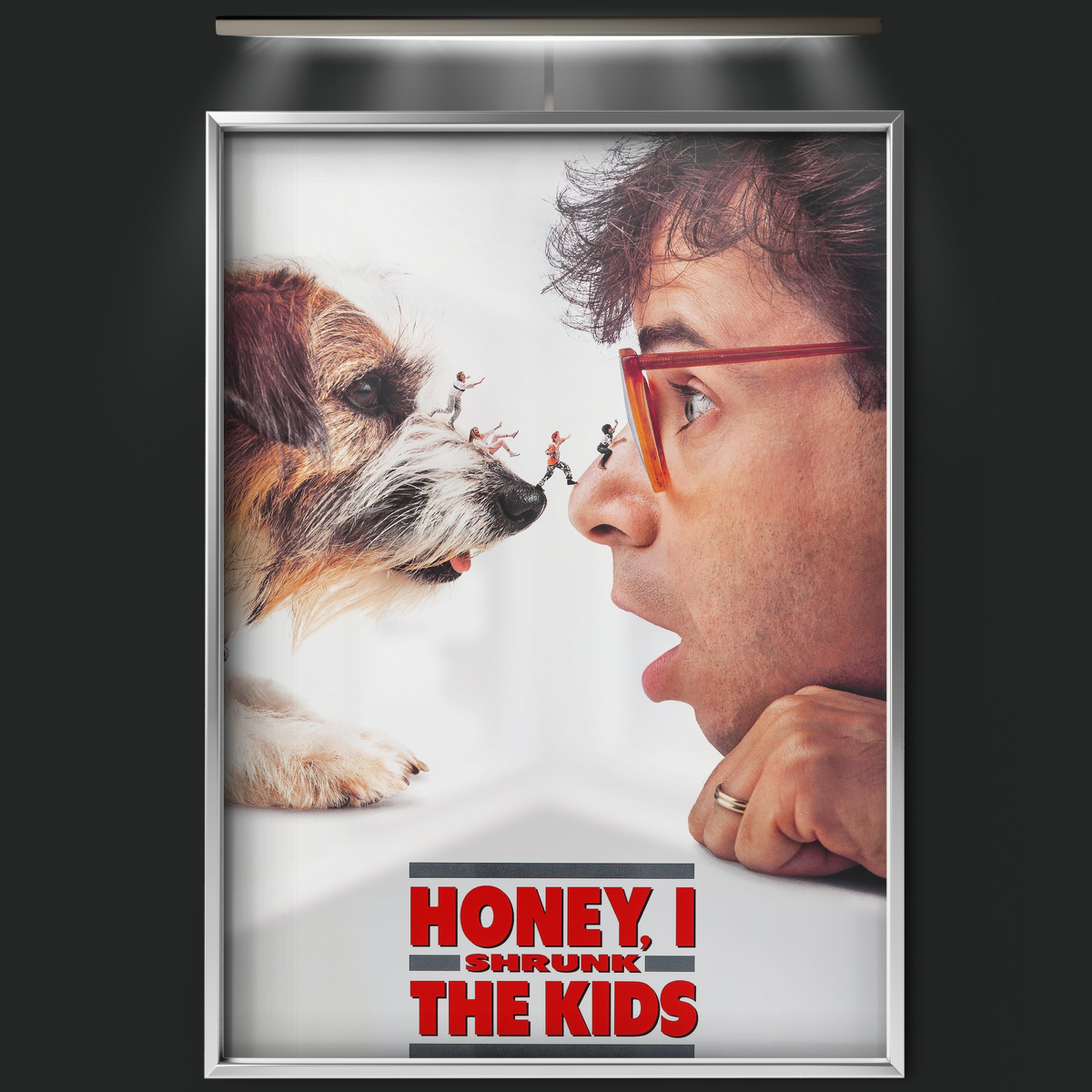Honey, I Shrunk The Kids (1989)