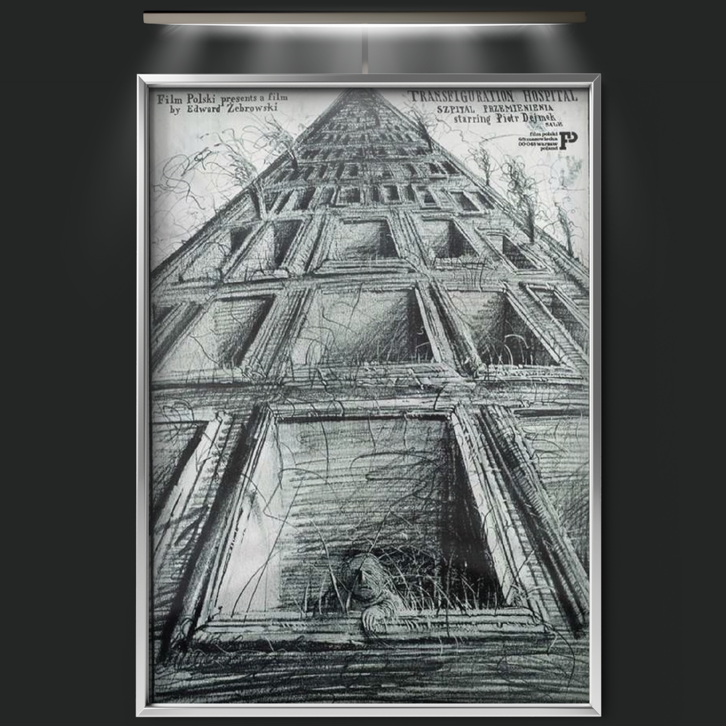 Hospital Of The Transfiguration (1979)