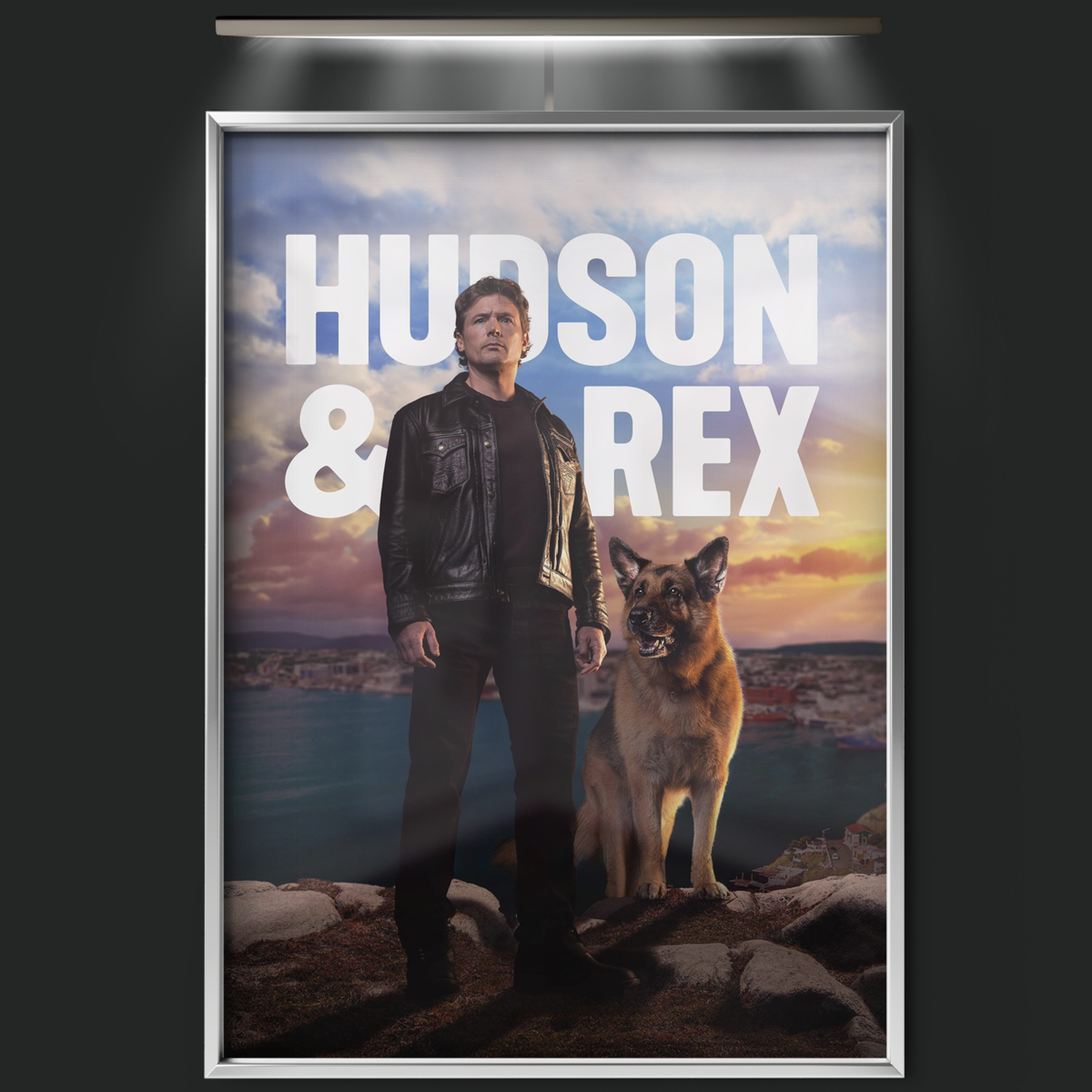 Hudson & Rex (2019)