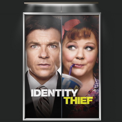 Identity Thief (2013)