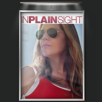 In Plain Sight (2008)
