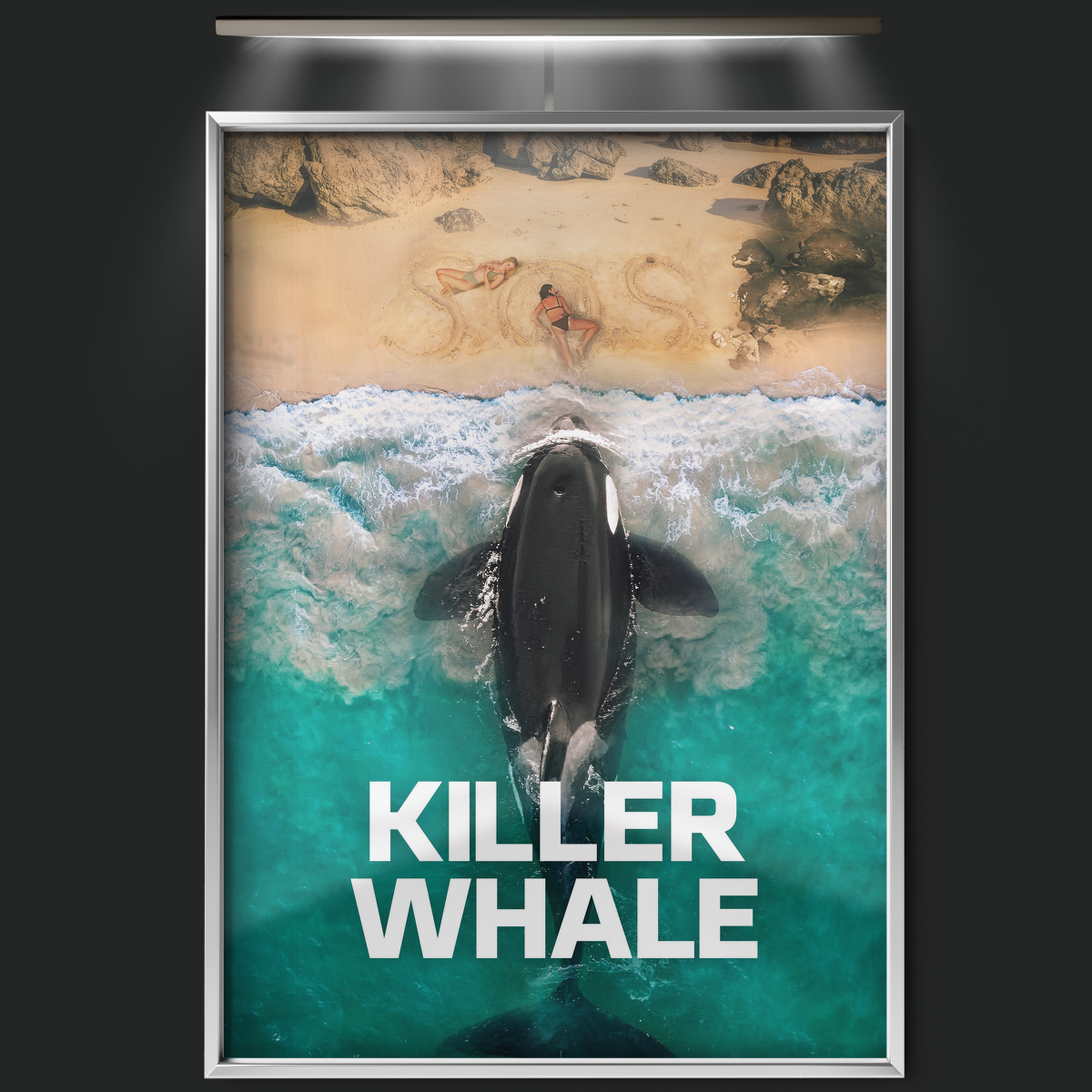 Killer Whale (2026)