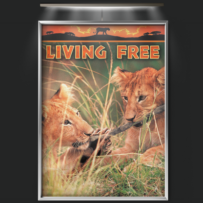 Living Free (1972)