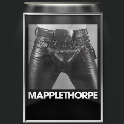 Mapplethorpe (2019)