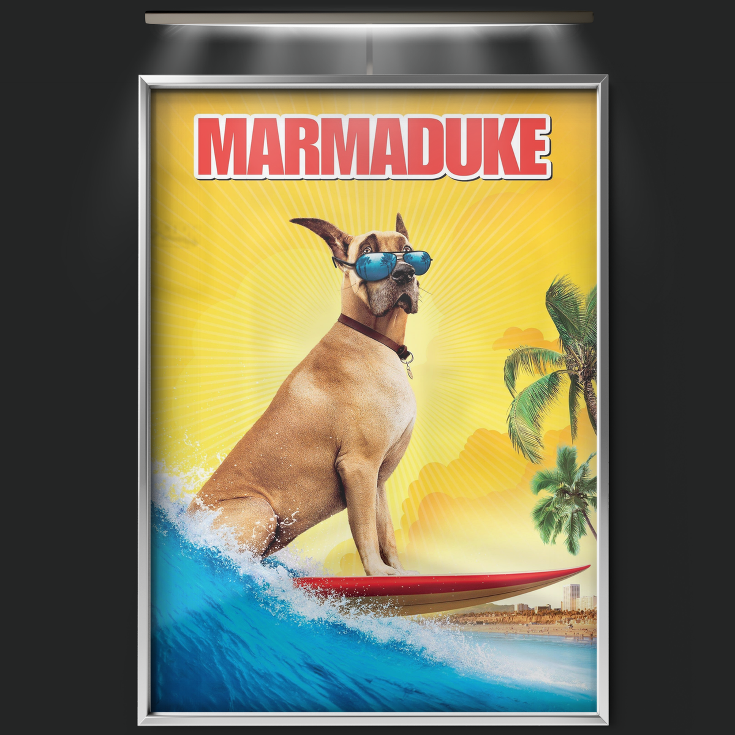 Marmaduke (2010)