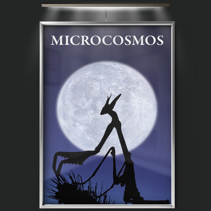 Microcosmos (1996)