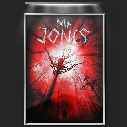 Mr. Jones (2013)