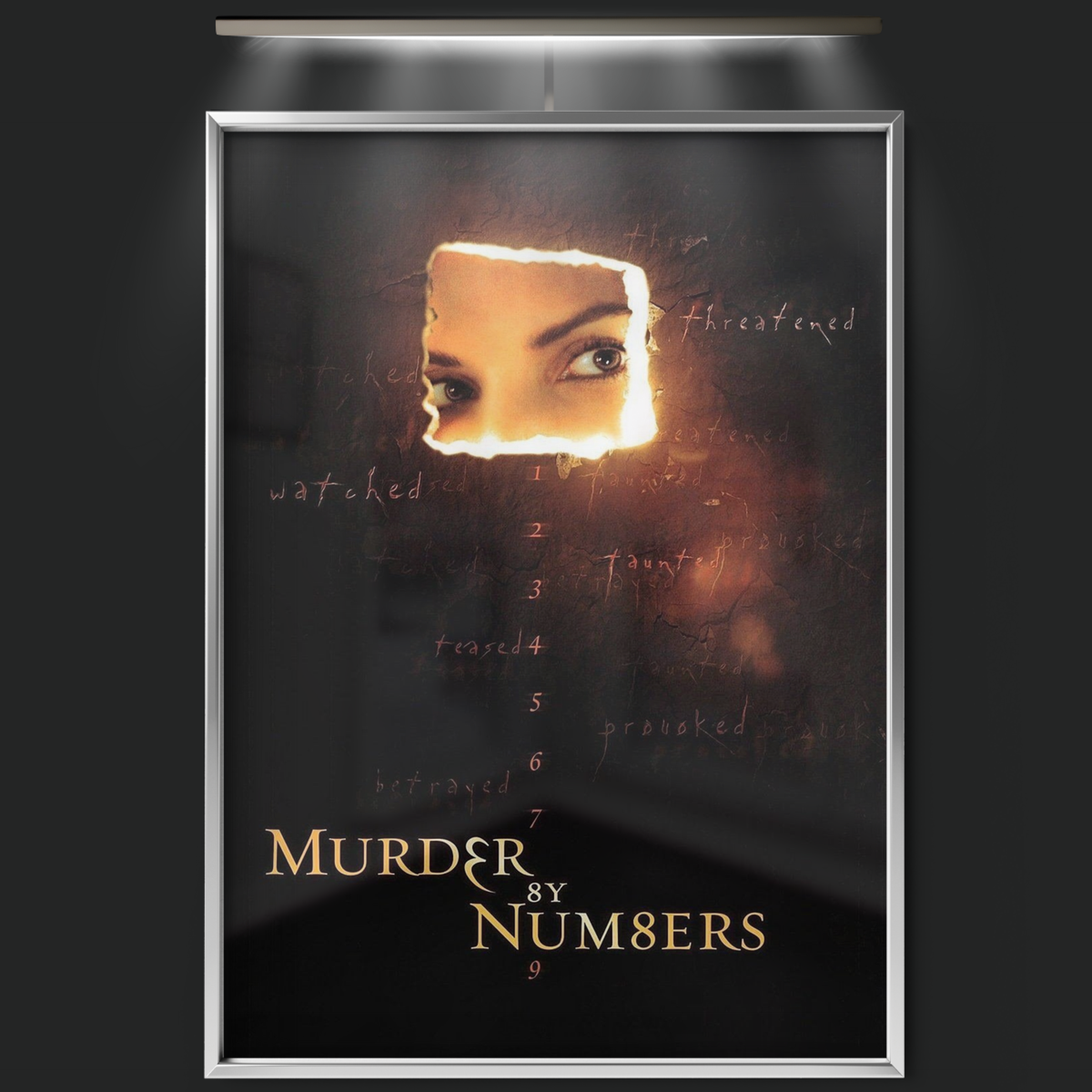 Murder By Numbers (2002)