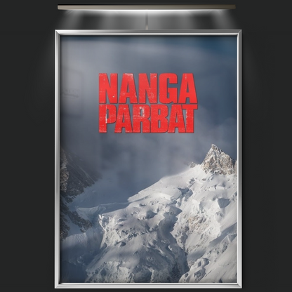 Nanga Parbat (2010)