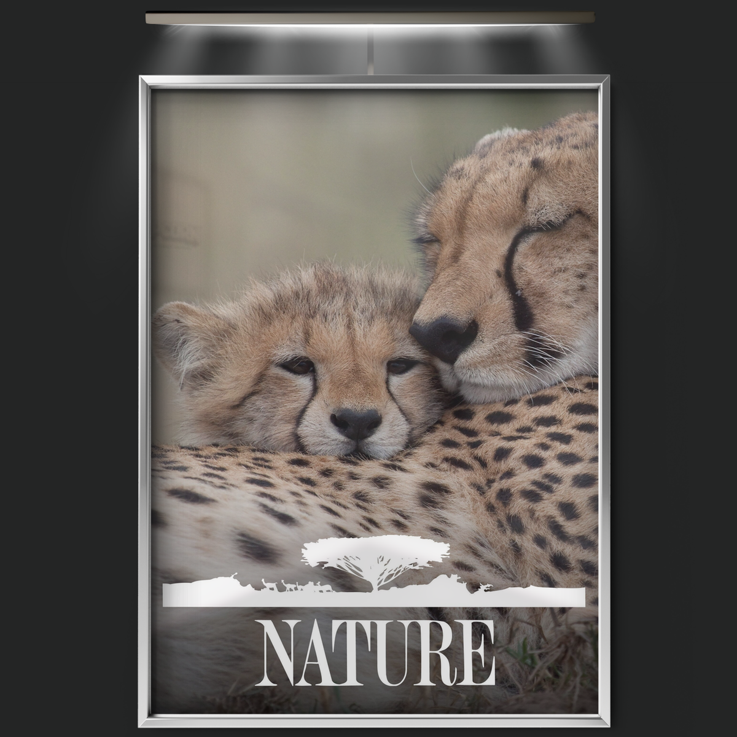 Nature (1982)