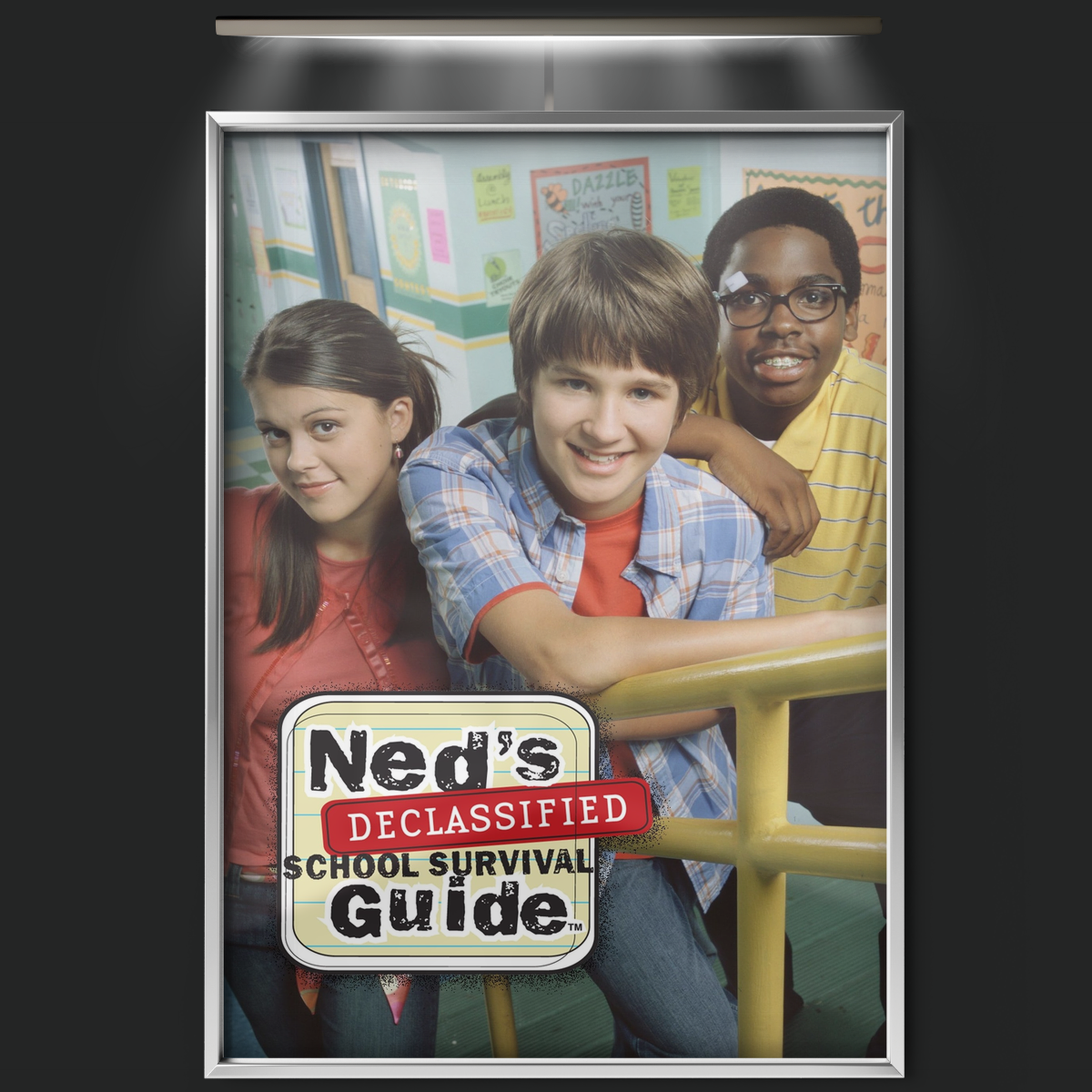 Ned's Declassified School Survival Guide (2004)