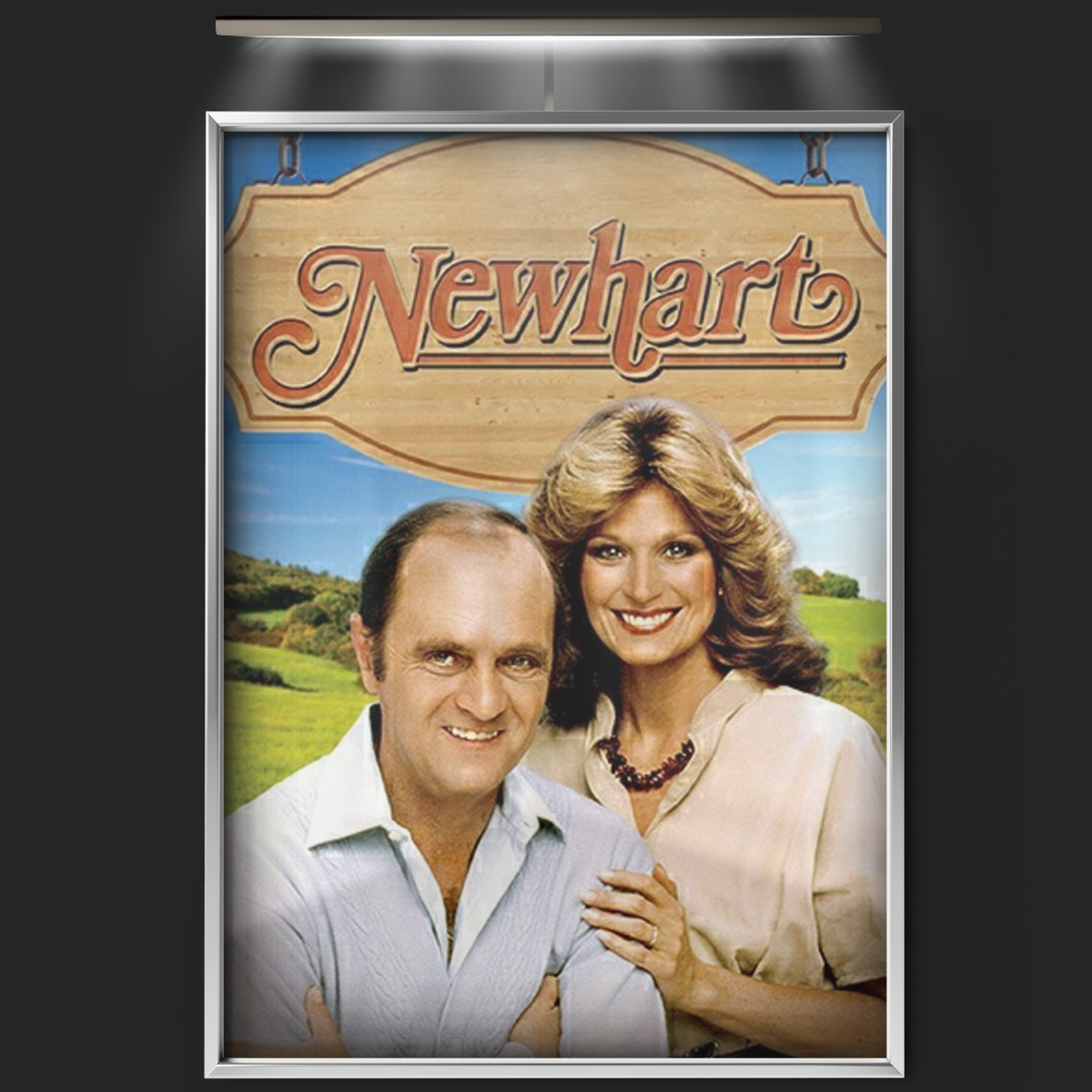 Newhart (1982)