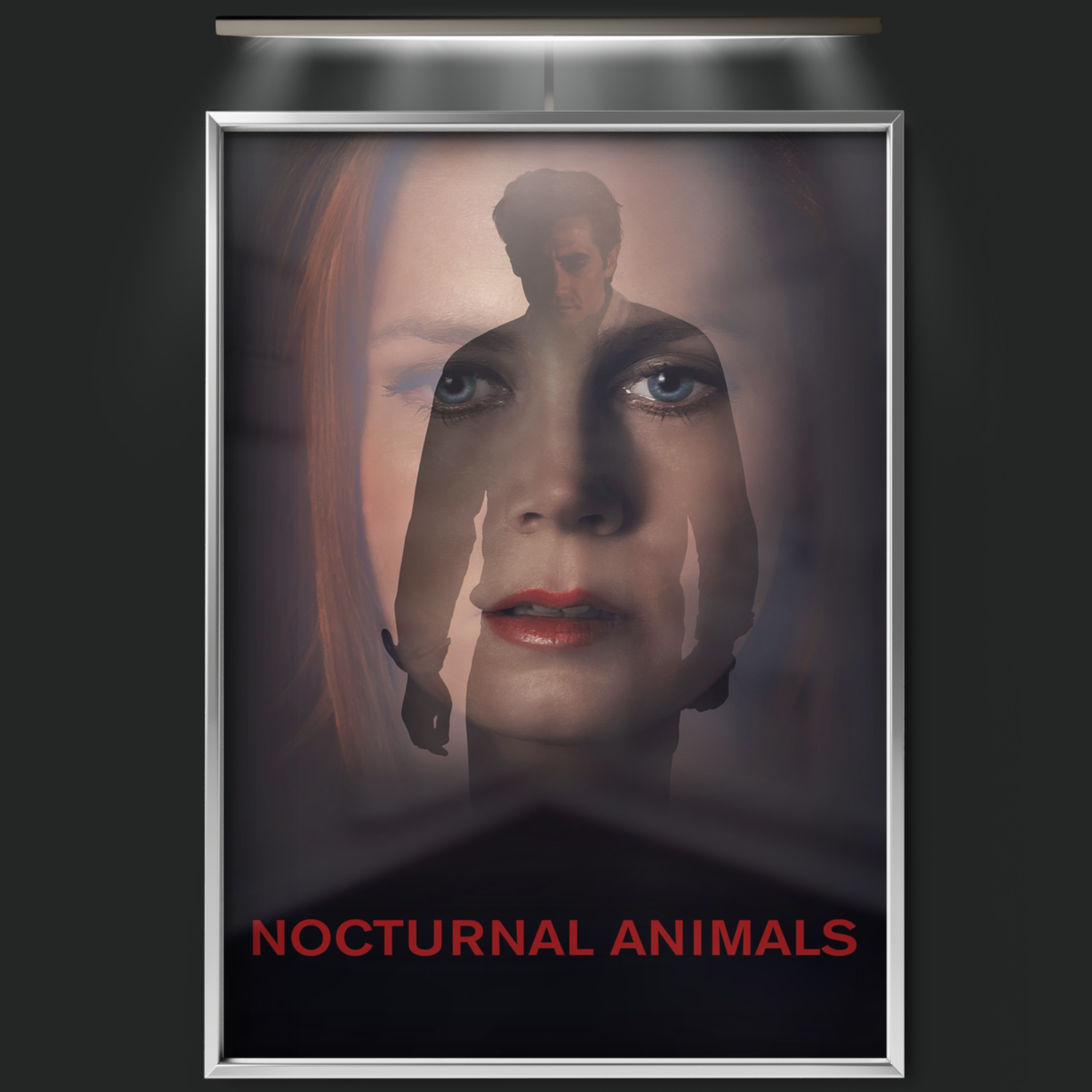 Nocturnal Animals (2016)
