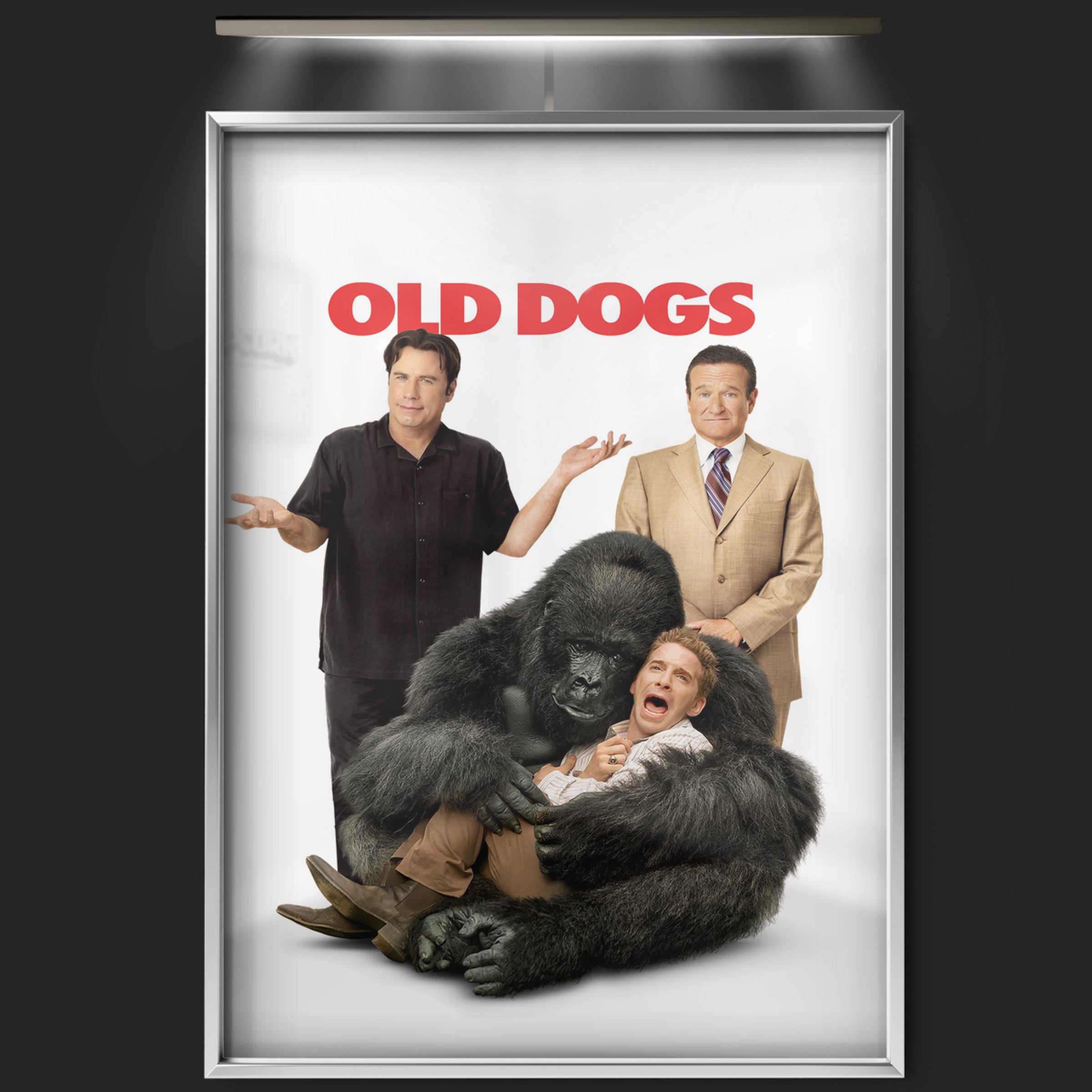 Old Dogs (2009)