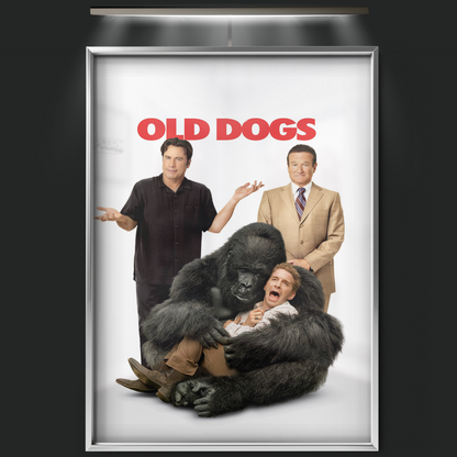 Old Dogs (2009)