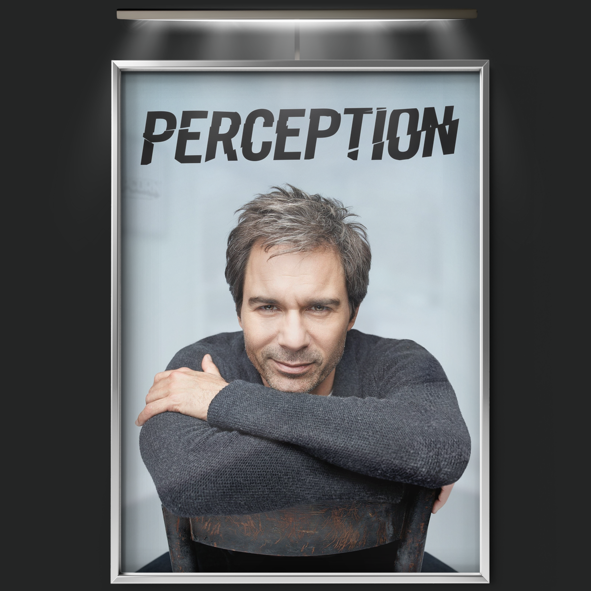 Perception (2012)