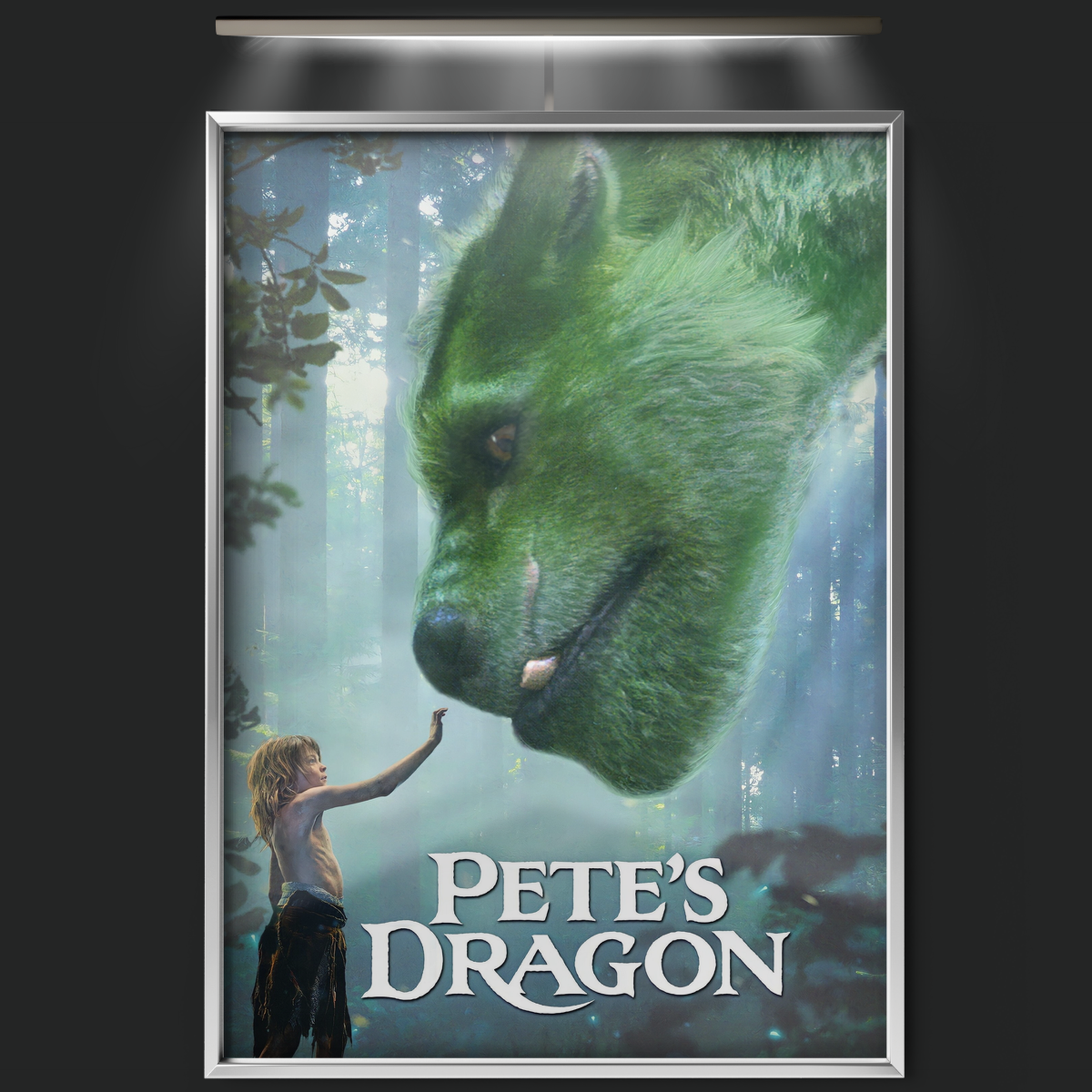 Pete's Dragon (2016)