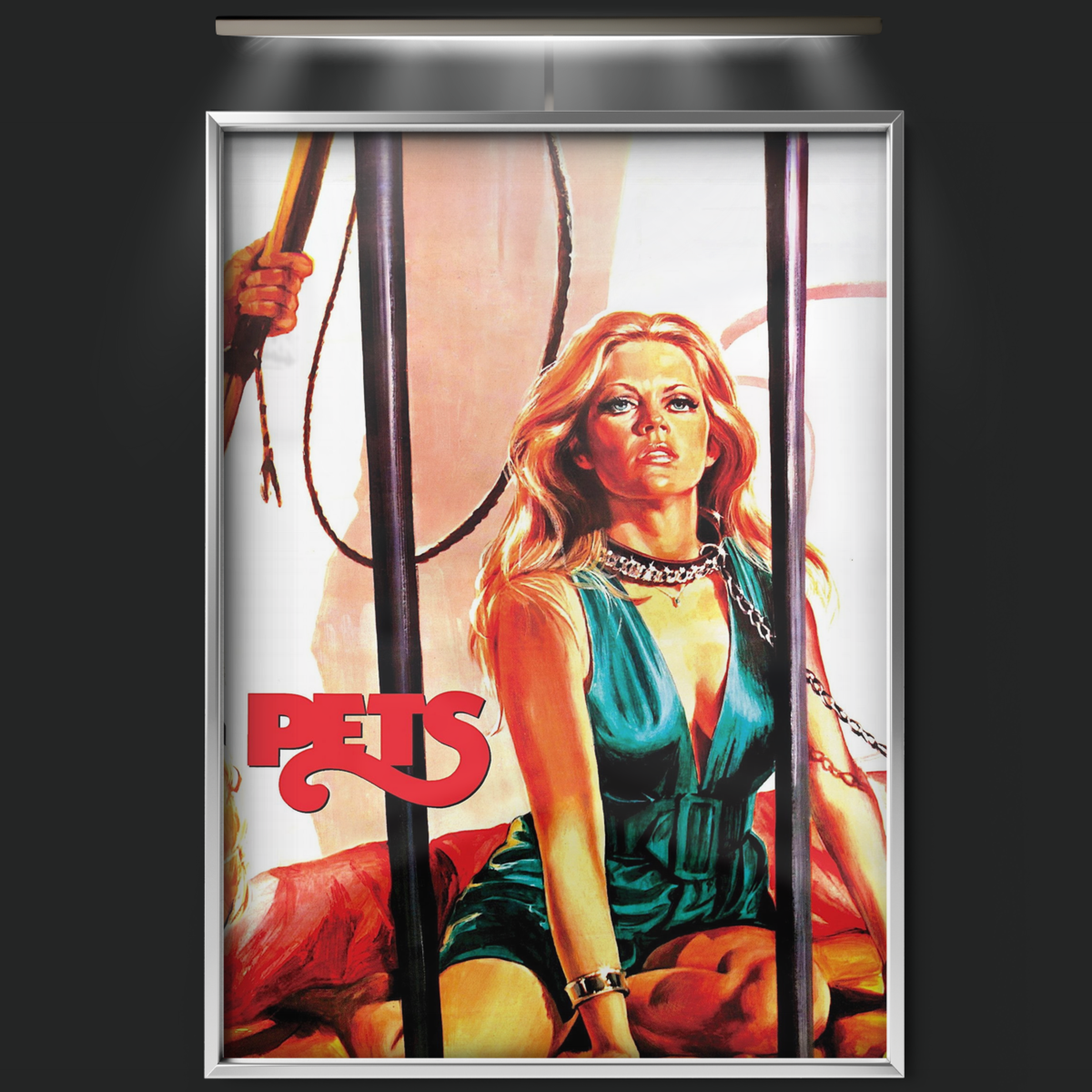 Pets (1973)