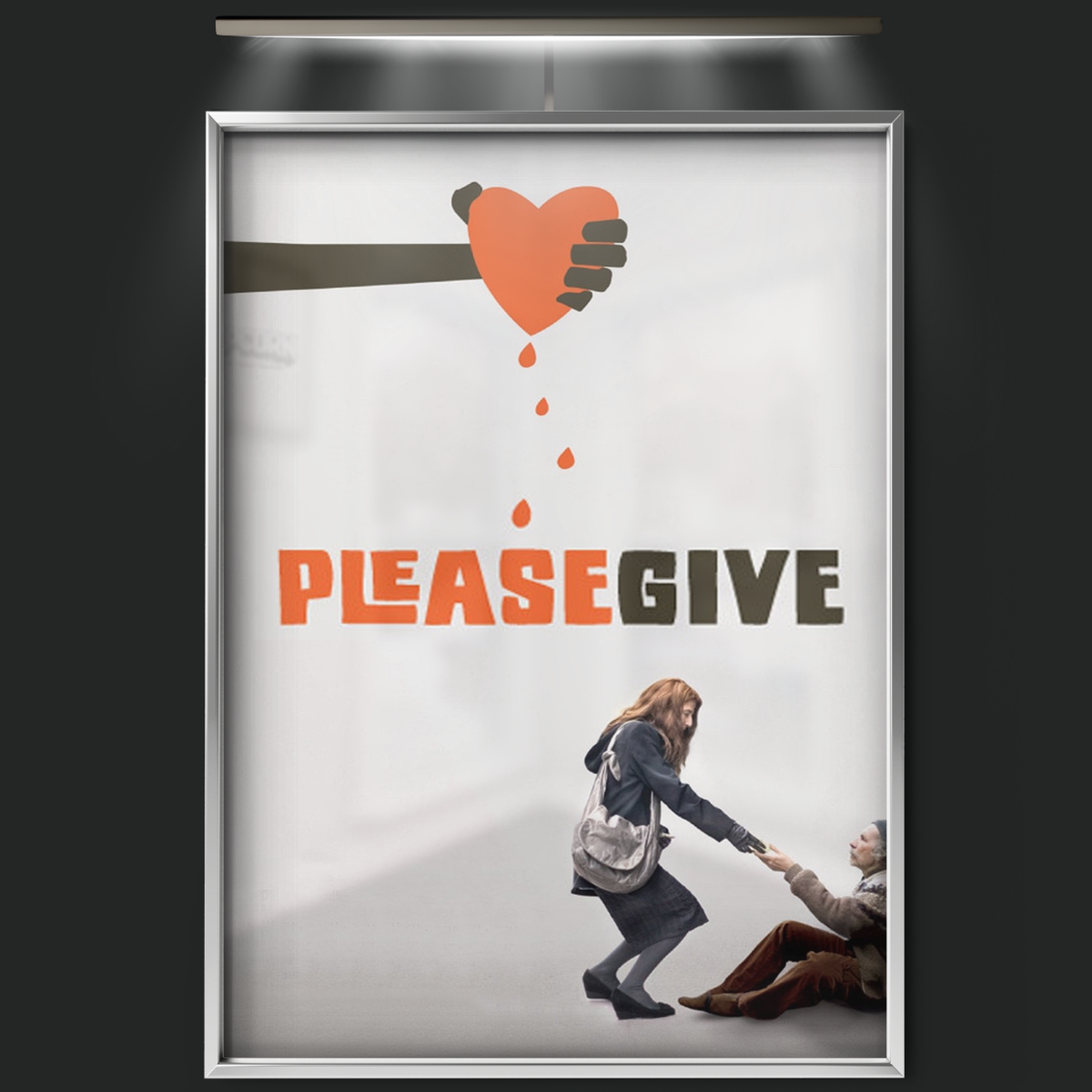 Please Give (2010)