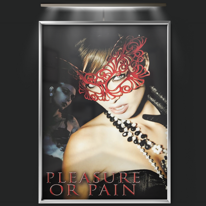 Pleasure Or Pain (2013)