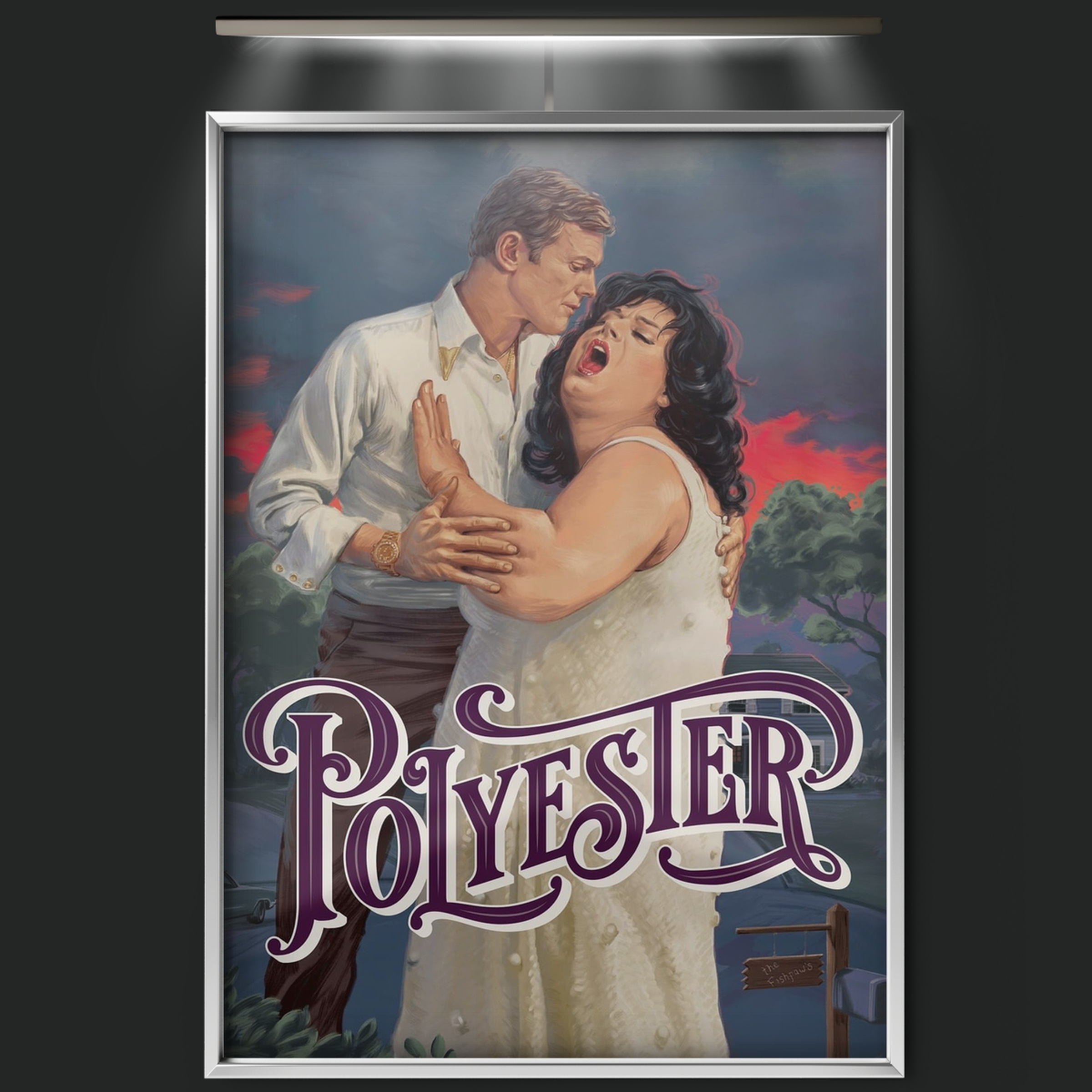 Polyester (1981)