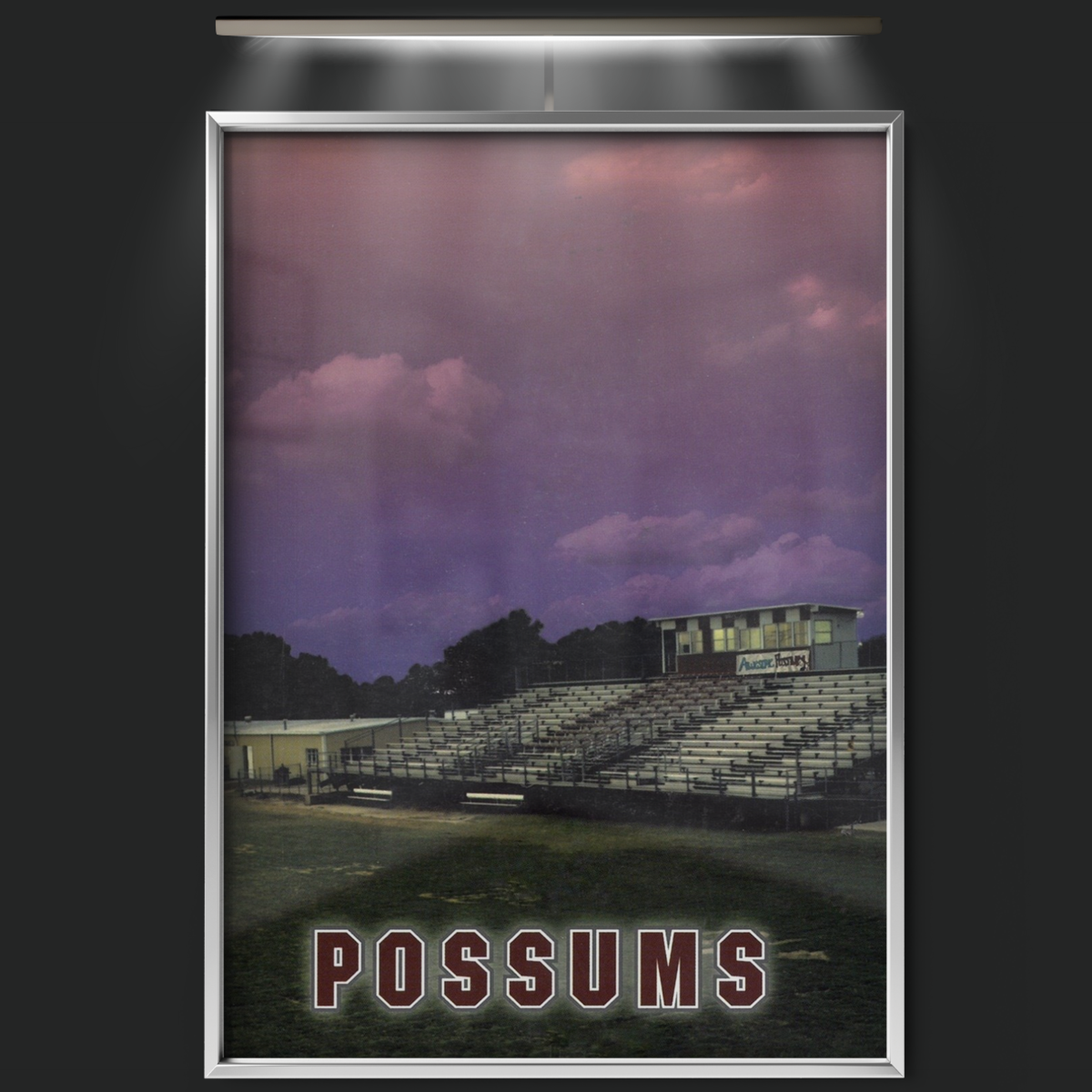 Possums (1998)