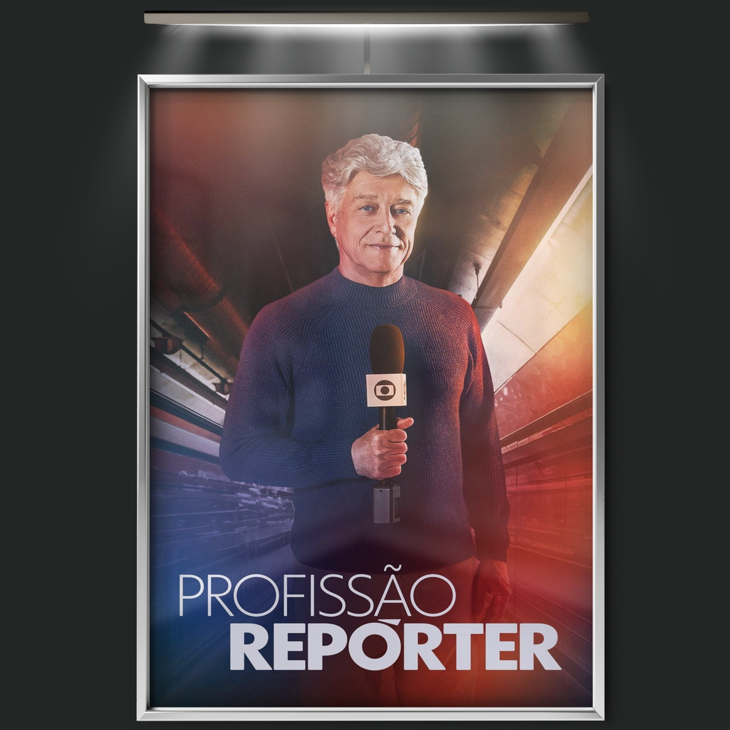 Profissão Repórter (2008)