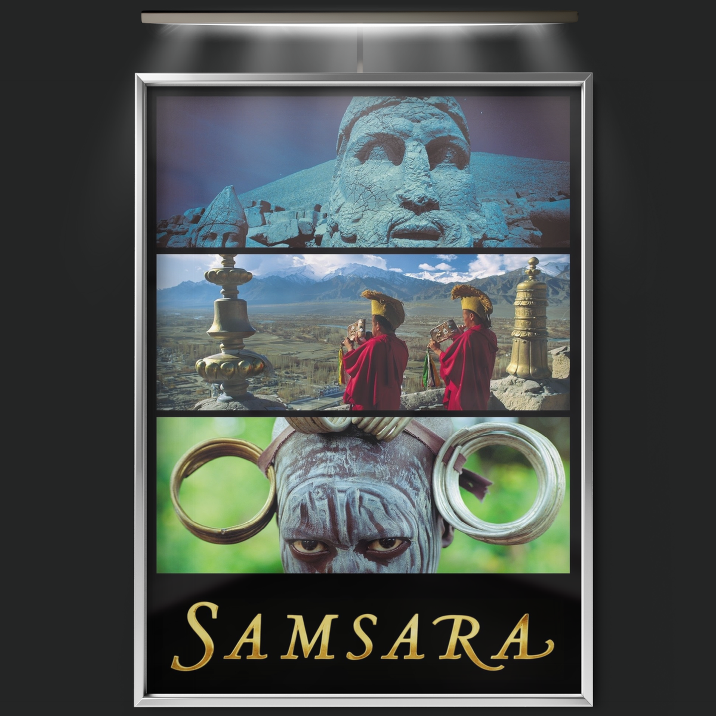 Samsara (2011)