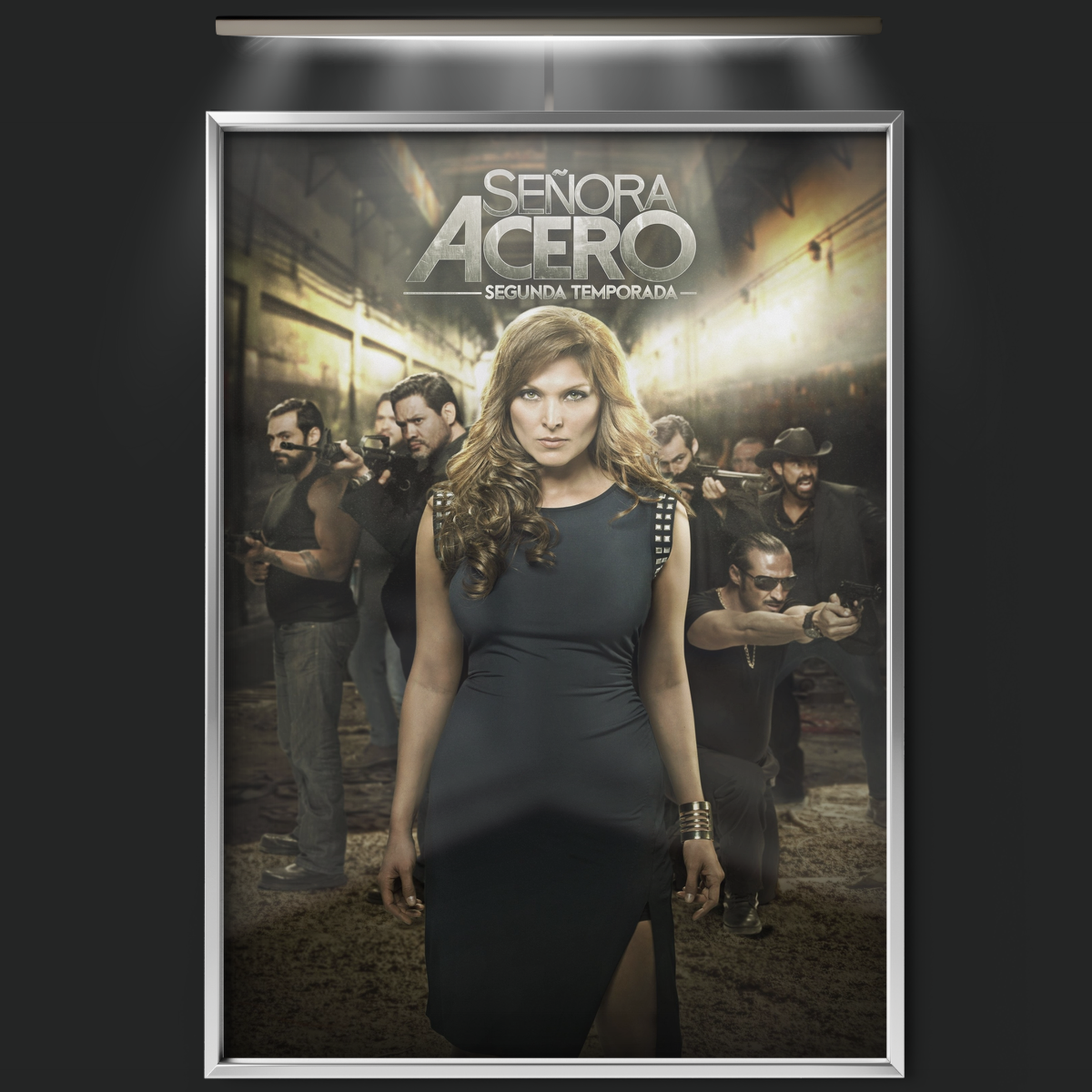 Senora Acero (2014)