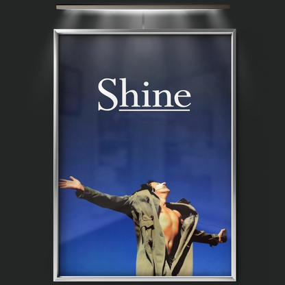 Shine (1996)