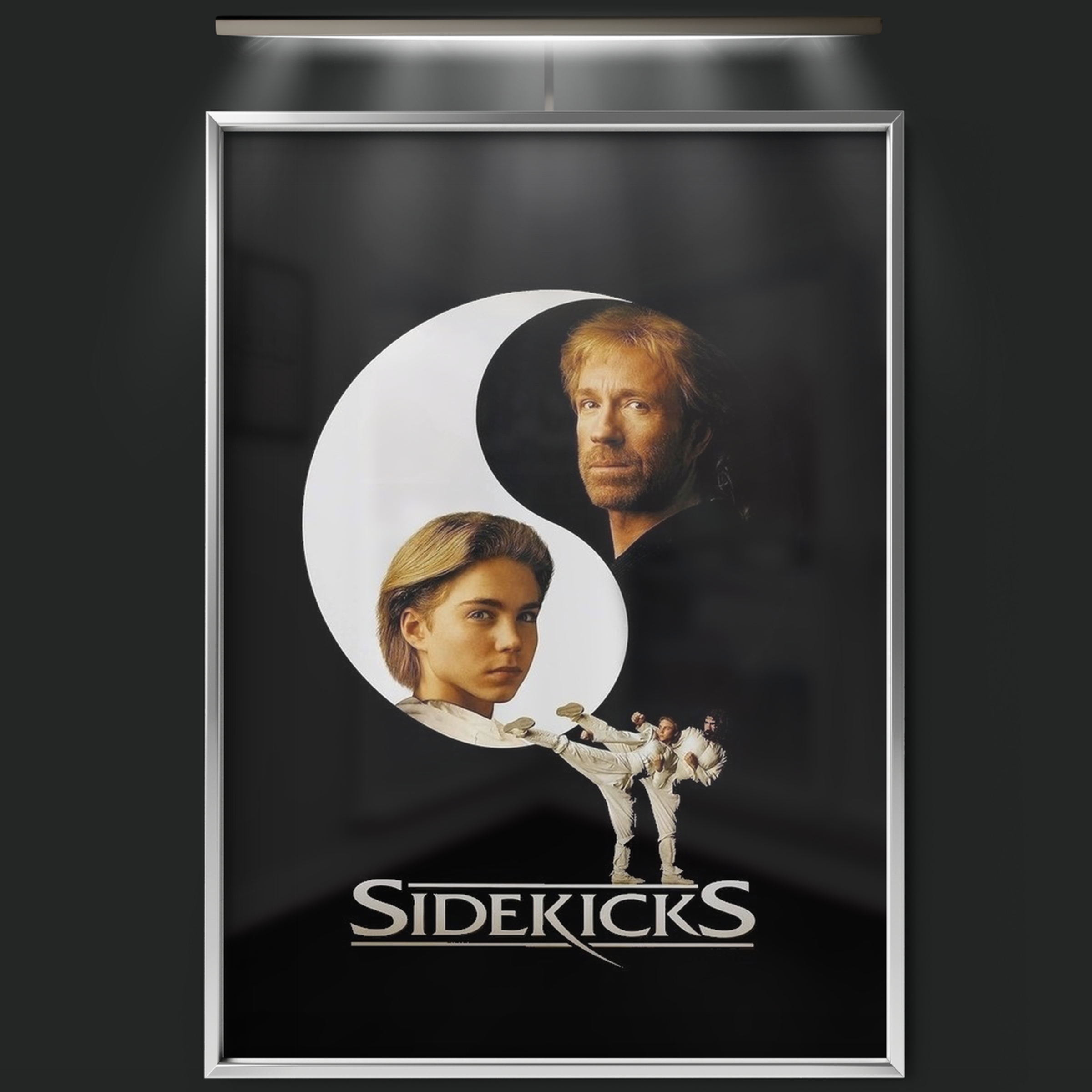 Sidekicks (1992)