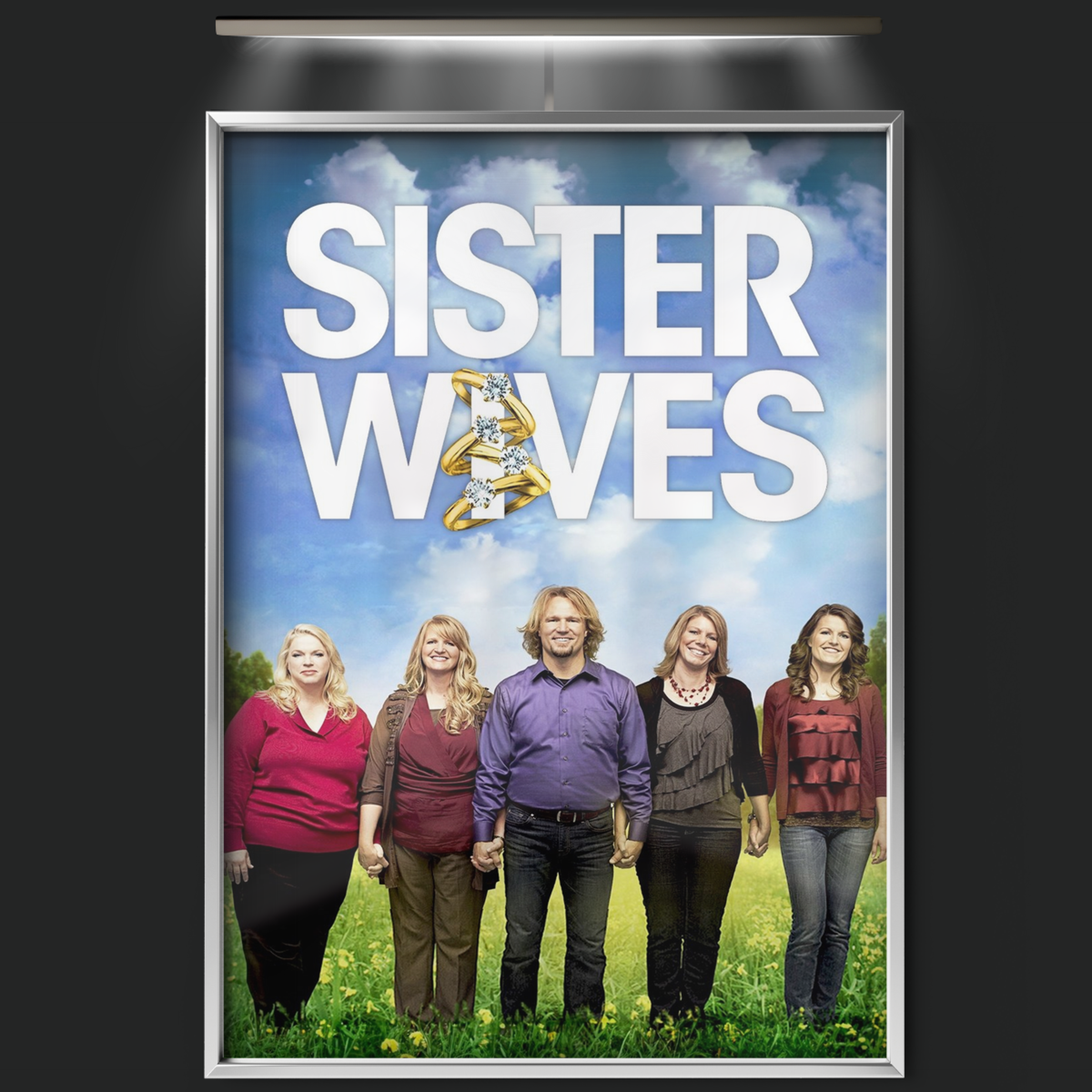 Sister Wives (2010)