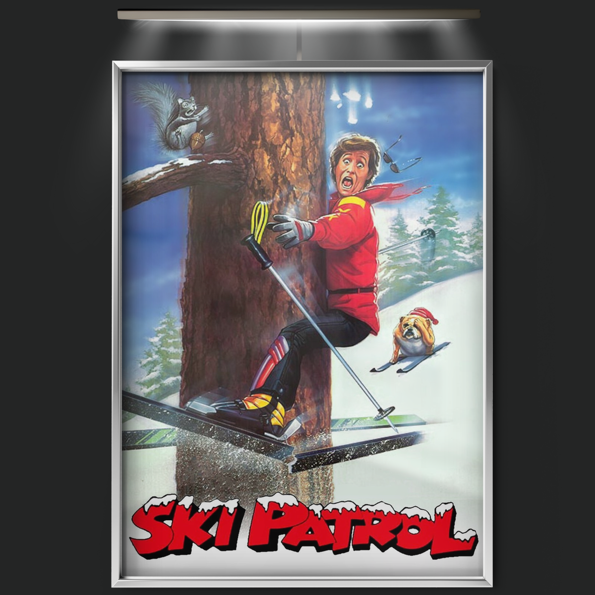 Ski Patrol (1990)
