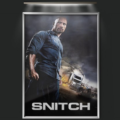 Snitch (2013)