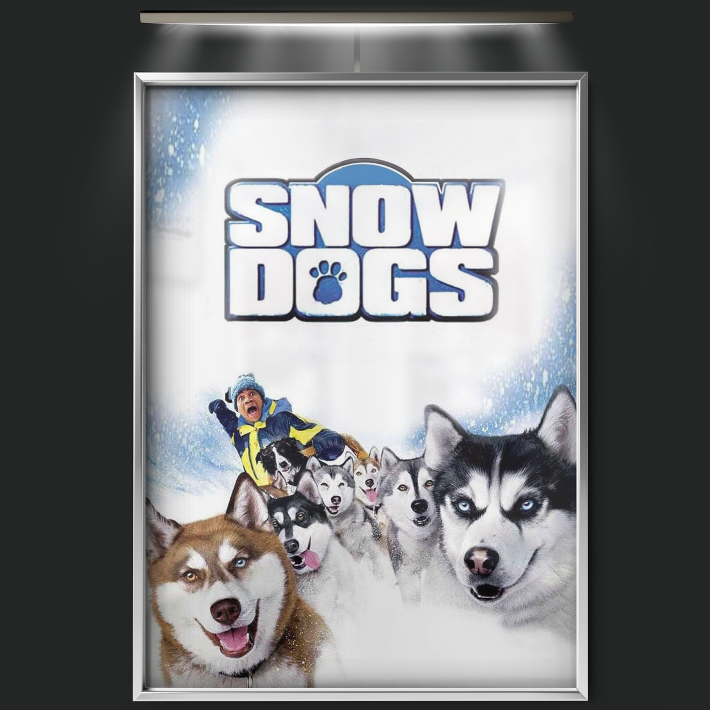 Snow Dogs (2002)