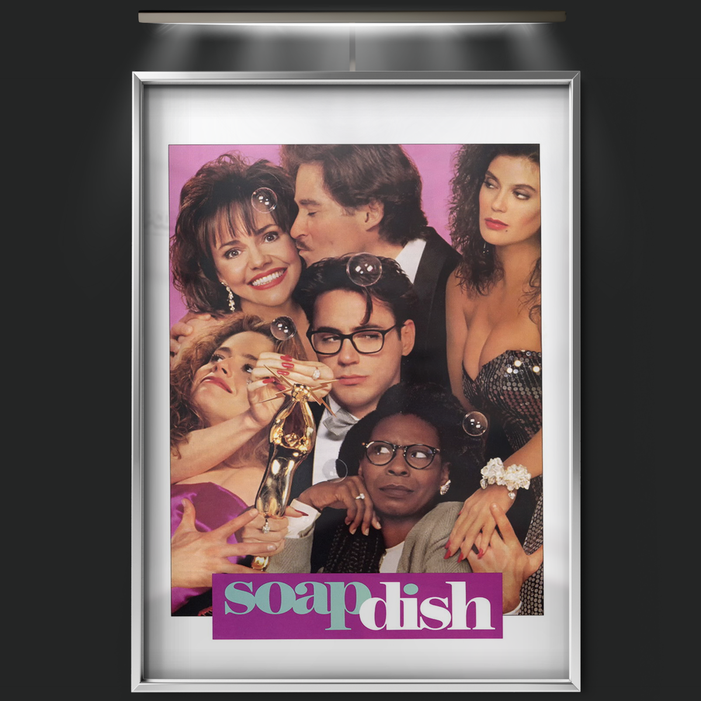 Soapdish (1991)